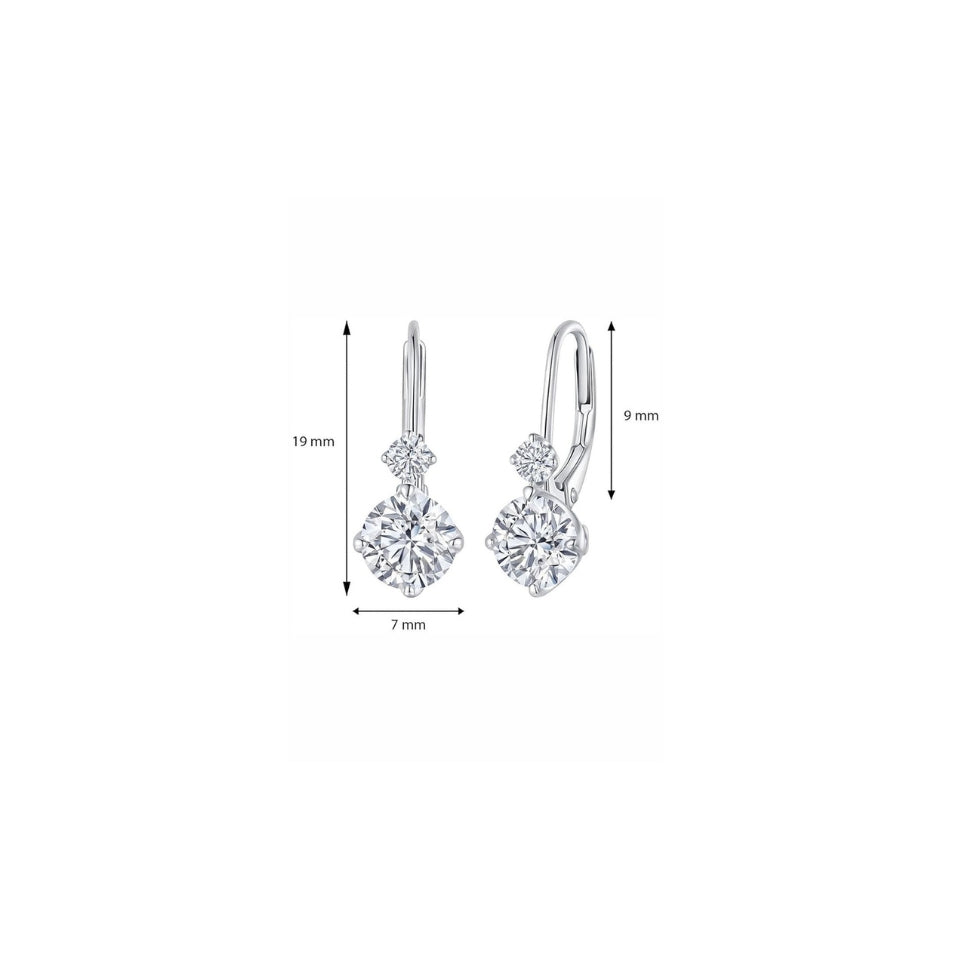 Moissanite Hypoallergenic Hoop Earrings