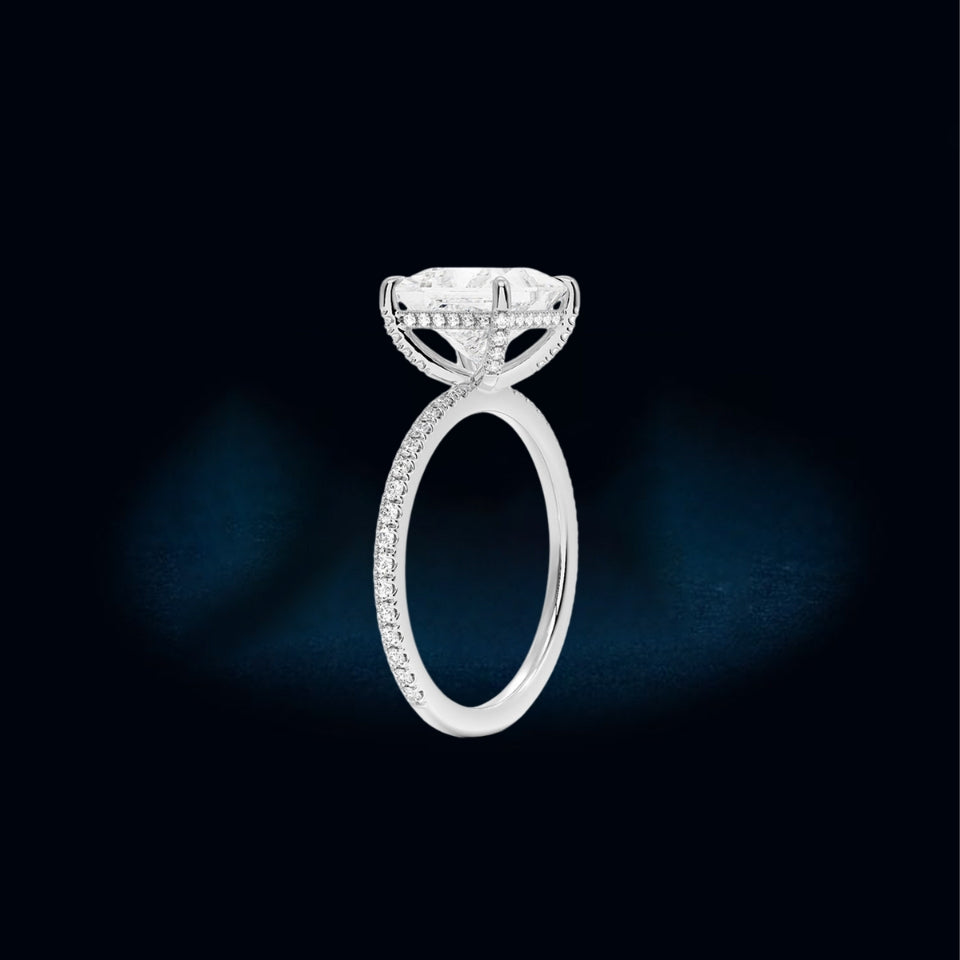 Princess Moissanite Pave Ring